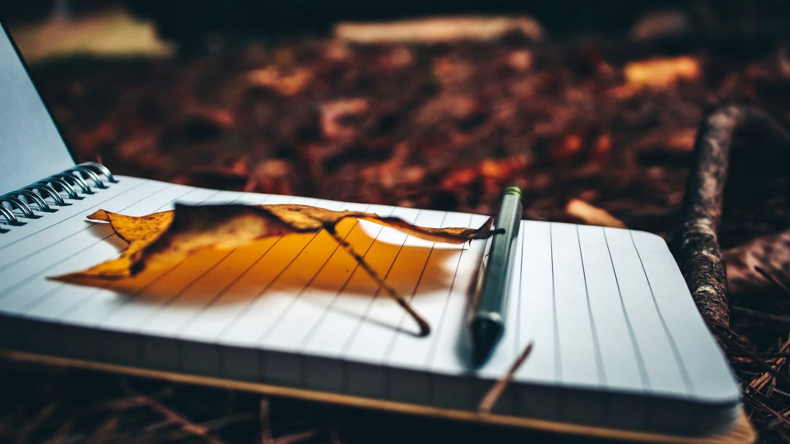 The Power of Tiny Habits: How Small Daily Choices Create Big Health Changes